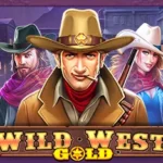 Wild West Gold